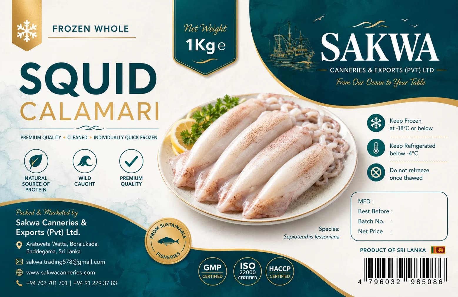 Frozen Squid/ Calamari