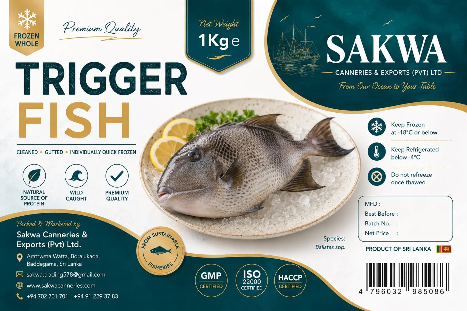 Frozen Trigger Fish